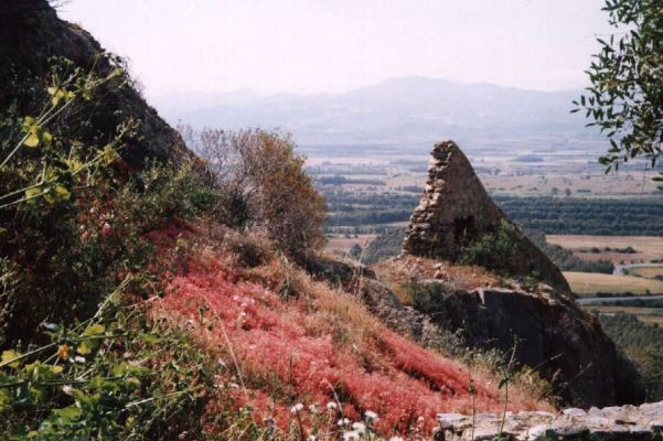 Clicca per vedere l'immagine alla massima grandezza