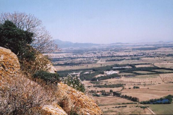 Clicca per vedere l'immagine alla massima grandezza